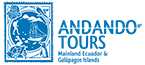 Andando Tours Andando Tours